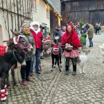 Besuch auf dem Weihnachtsmarkt